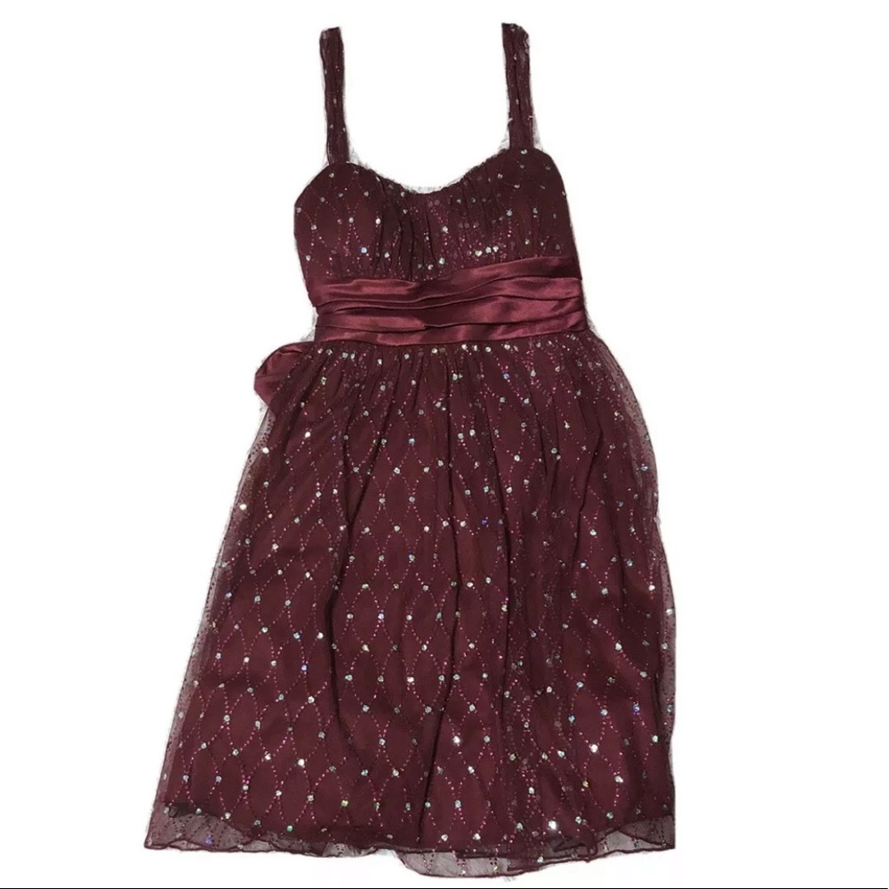 Sparkly Dark Red Mini Dress